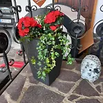 Plattner 란켄펠트