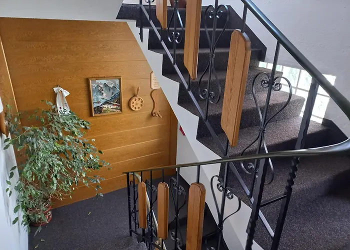 Plattner لانغنفلد