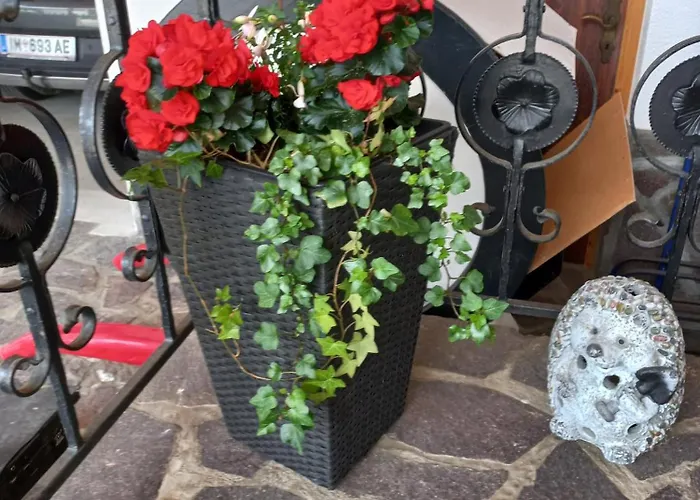 Plattner لانغنفلد