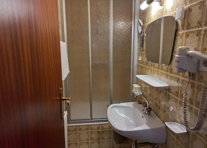 Plattner * 란켄펠트